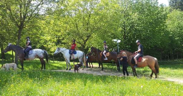 REITCLUB FREIBURG ST. GEORGEN e.V.