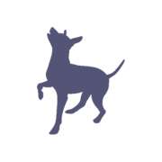 SHYVA | Hundehotel und Hundeschule