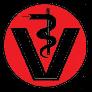 Dr. med. vet. Andrea Kim Kleintierpraxis